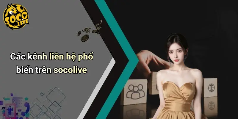 Các kênh liên hệ phổ biến trên socolive