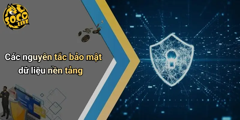 Các nguyên tắc bảo mật dữ liệu nền tảng