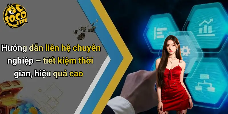 Hướng dẫn liên hệ chuyên nghiệp – tiết kiệm thời gian, hiệu quả cao