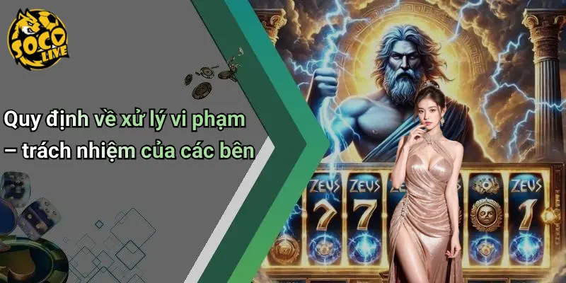 Quy định về xử lý vi phạm – trách nhiệm của các bên