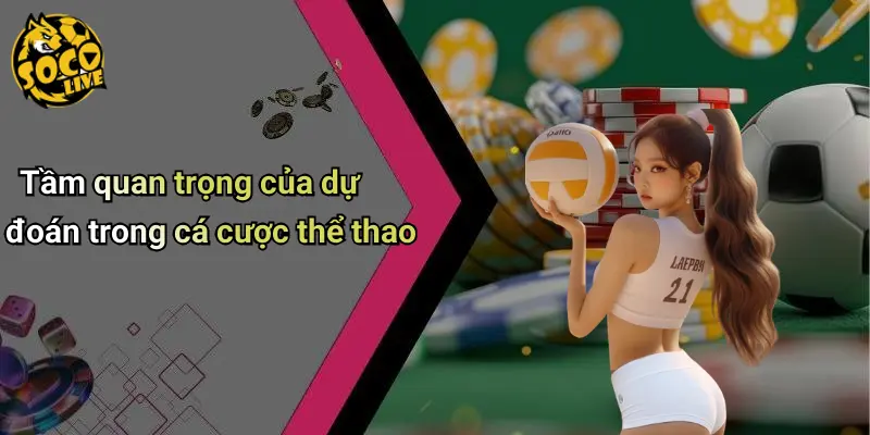 Tầm quan trọng của dự đoán trong cá cược thể thao