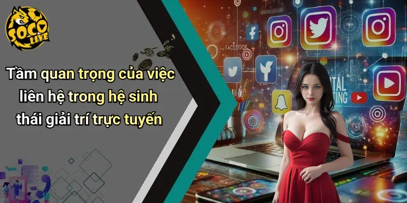 Tầm quan trọng của việc liên hệ trong hệ sinh thái giải trí trực tuyến
