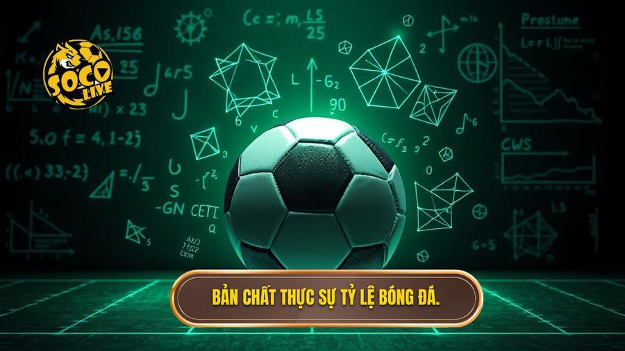 Hiểu bản chất thực sự của tỷ lệ bóng đá