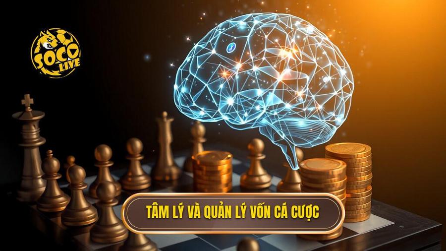 Chiến thuật tâm lý và quản lý vốn trong cá cược