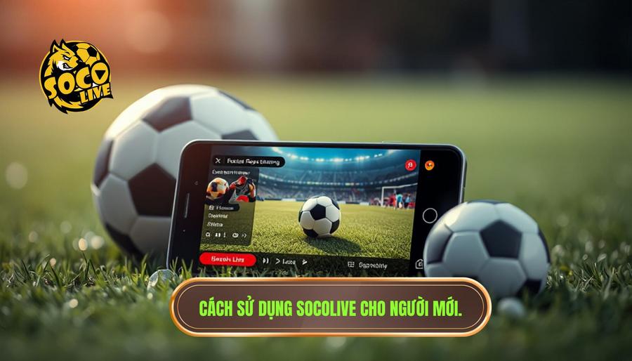 Hướng dẫn cách sử dụng Socolive cho người mới bắt đầu