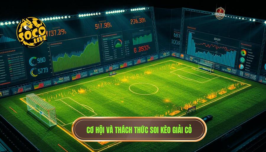 Nhận định kèo các giải cỏ: Nghệ thuật săn thưởng từ những trận cầu ít tên tuổi 2 2. Cơ hội và thách thức soi kèo giải cỏ