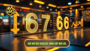 Ý nghĩa các con số trên bảng kèo: Cẩm nang chi tiết cho người mới bắt đầu
